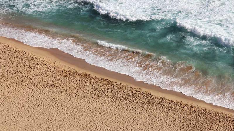 关于business的专业图片