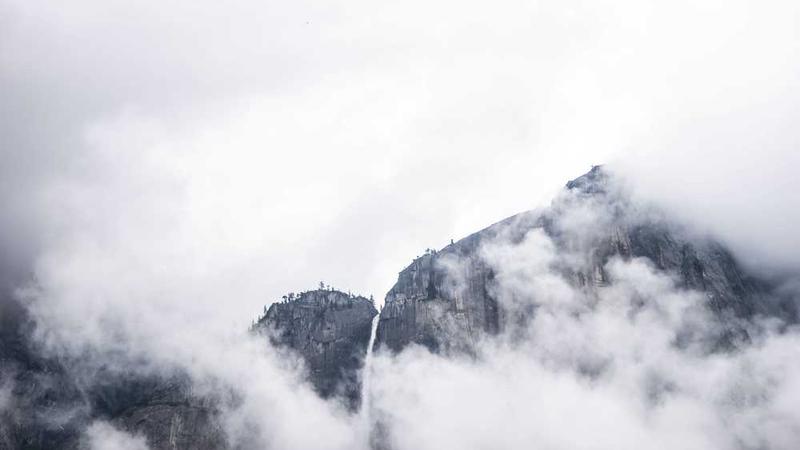 关于business的专业图片