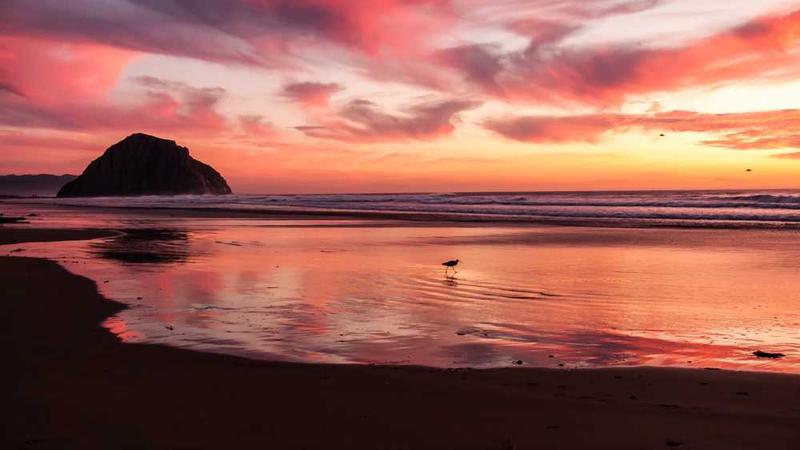 与business相关的创意图片