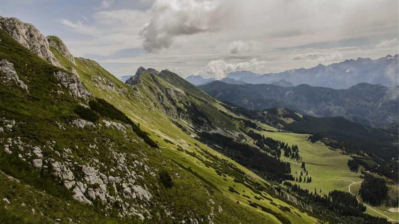 展示digital概念的视觉内容