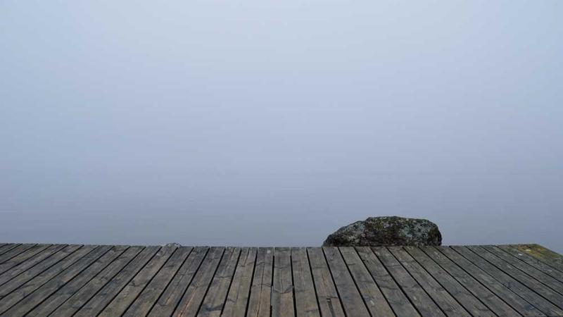 growth相关的高质量图像