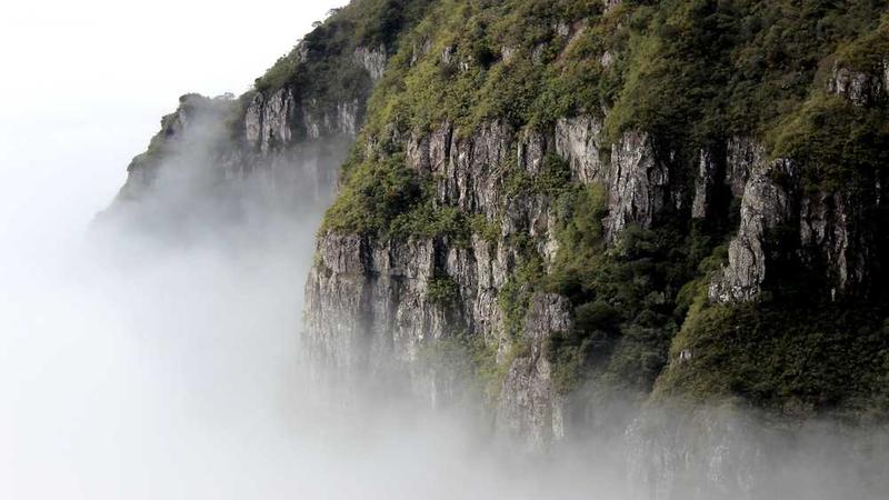 growth相关的高质量图像