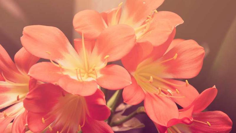 innovation主题的精美插图