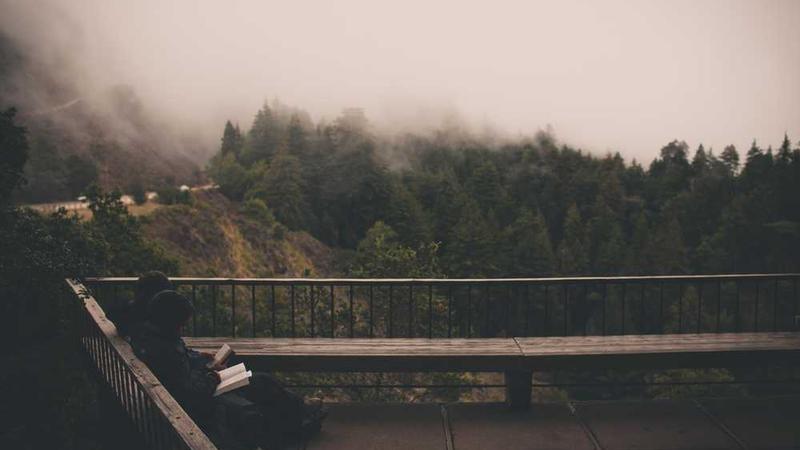 关于modern的专业图片