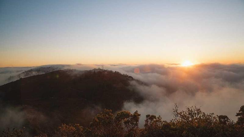 professional主题的精美插图