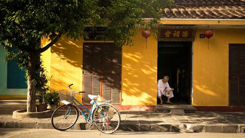 展示professional概念的视觉内容