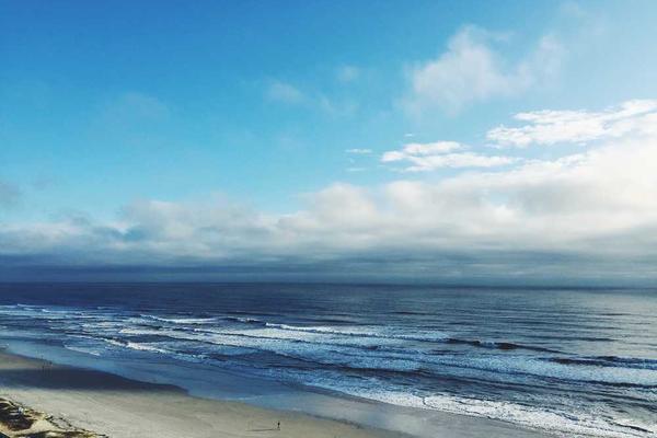 展示近年来概念的视觉内容