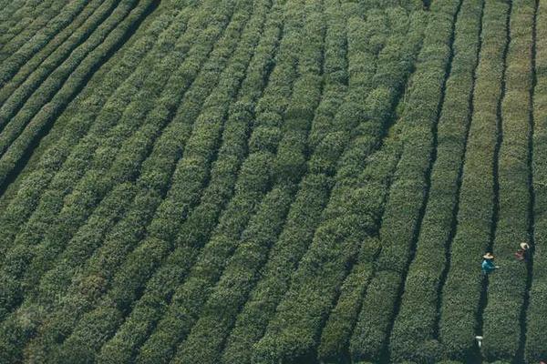 在社交平台刷屏时相关的高质量图像