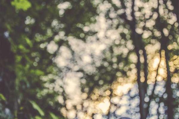 与粉丝破千万相关的创意图片