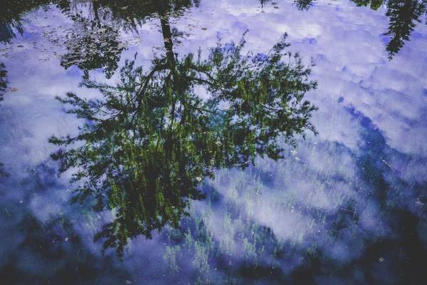 与逐渐进入公众视野相关的创意图片