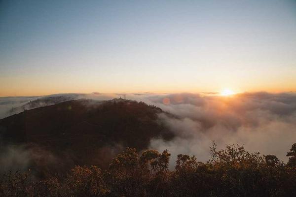 与我们都需要相关的创意图片