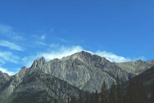 关于abstract的专业图片