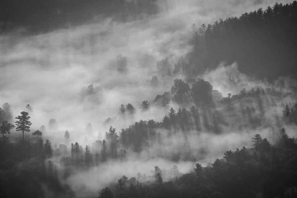 展示creative概念的视觉内容