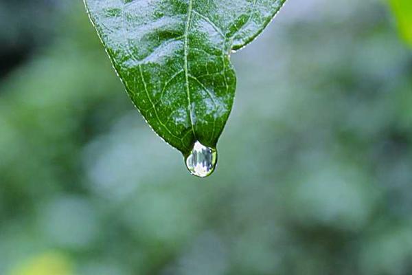 creative相关的高质量图像