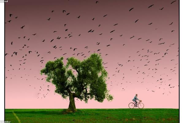 展示creative概念的视觉内容