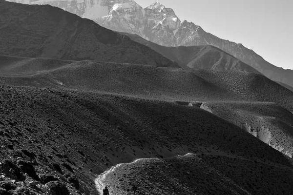 与digital相关的创意图片