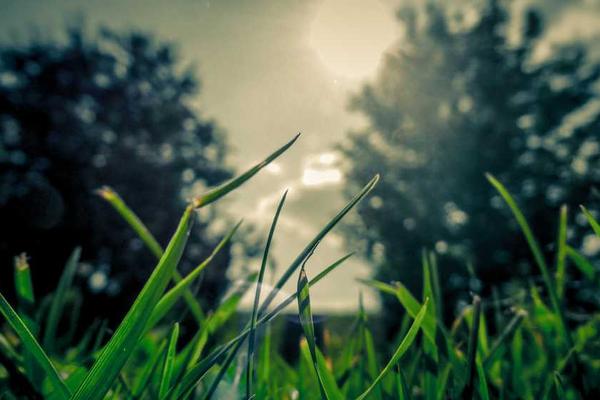 展示技术发展的视觉内容