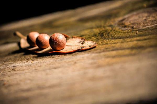 关于innovation的专业图片