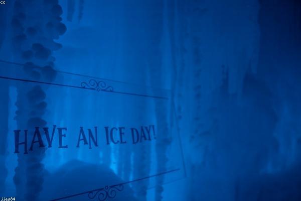 关于success的专业图片