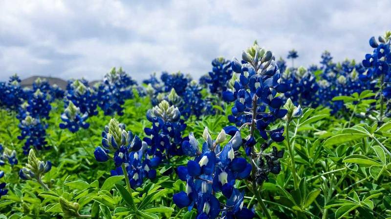 展示午夜零时的吻概念的视觉内容