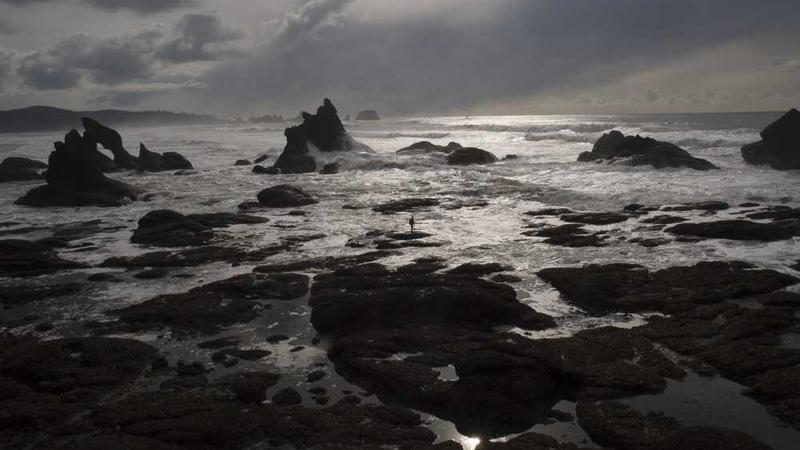 灌篮高手电影主题的精美插图