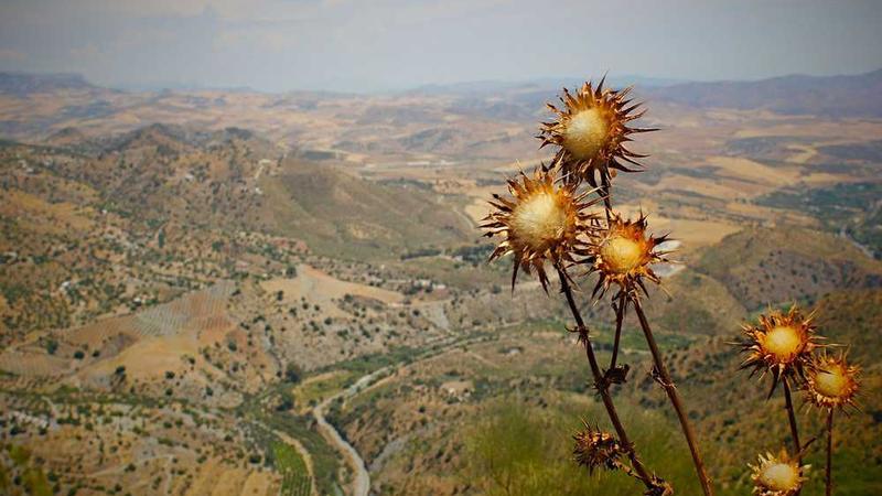 繁花免费观看相关的高质量图像