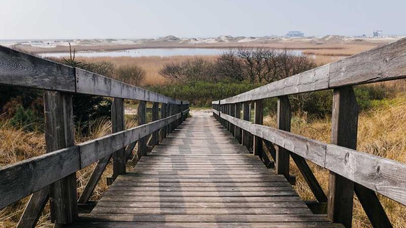 展示digital概念的视觉内容