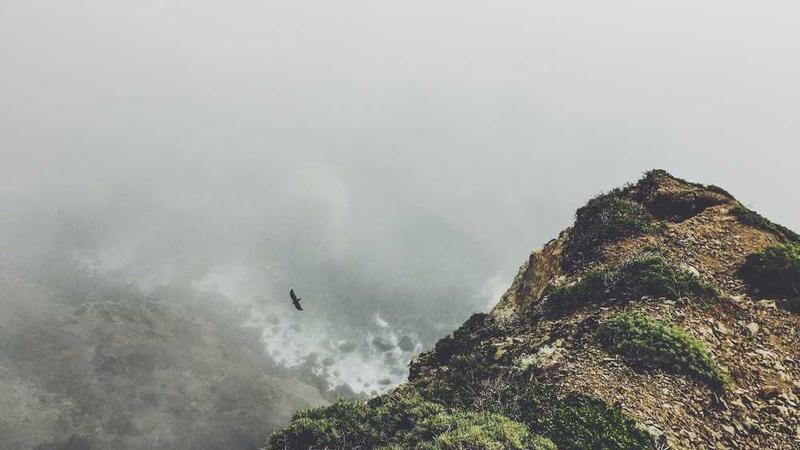 与digital相关的创意图片