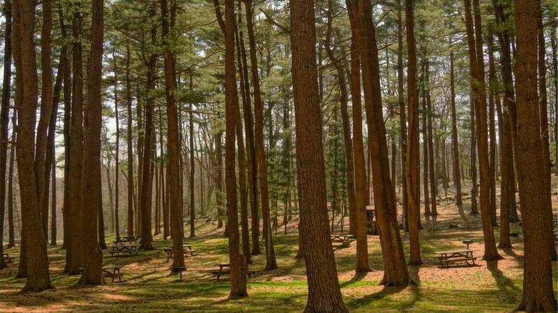 digital主题的精美插图