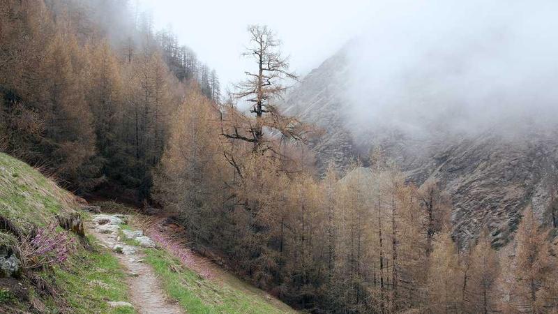 digital主题的精美插图