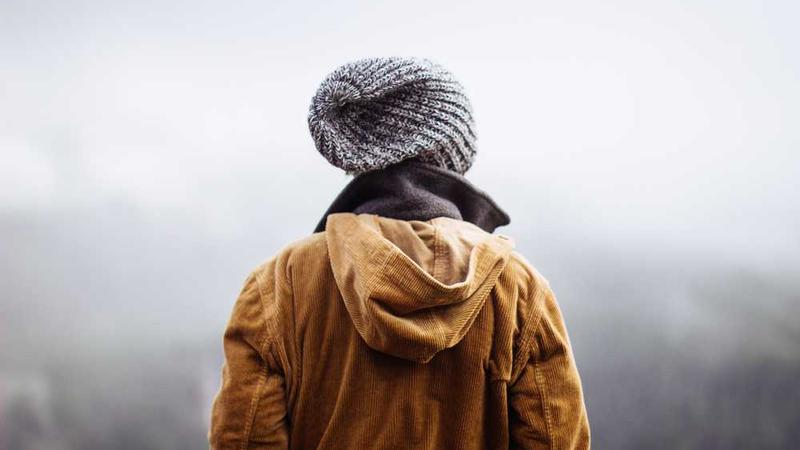 growth相关的高质量图像