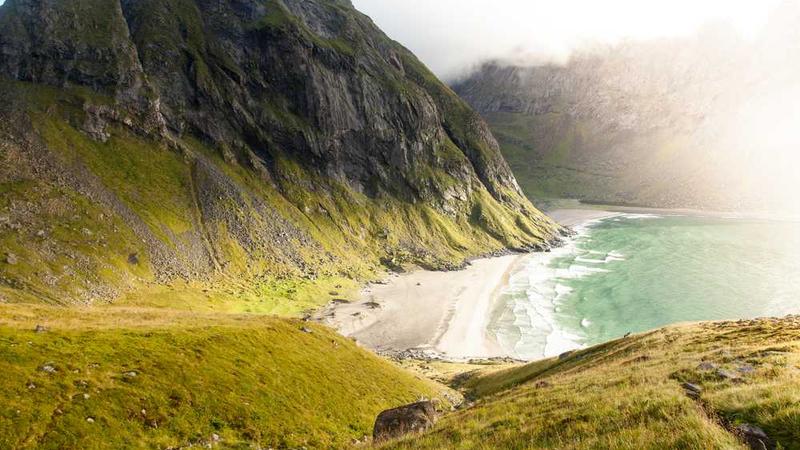 与growth相关的创意图片