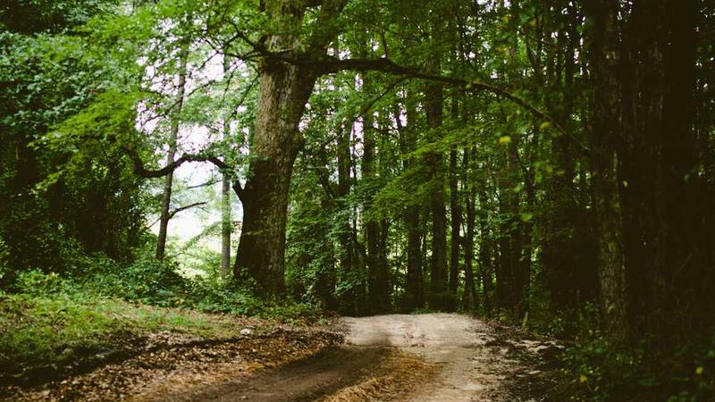 growth相关的高质量图像