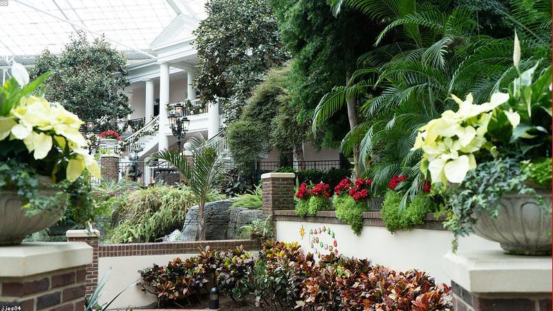 与growth相关的创意图片