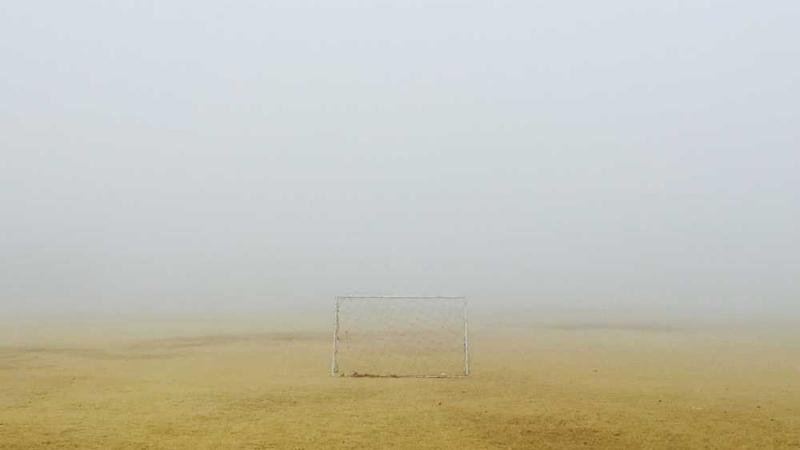 展示professional概念的视觉内容