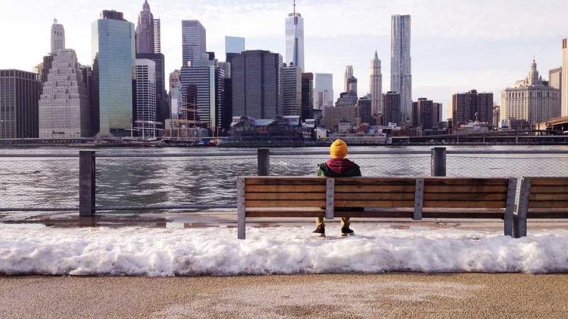 与professional相关的创意图片