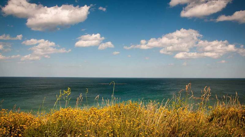 technology主题的精美插图