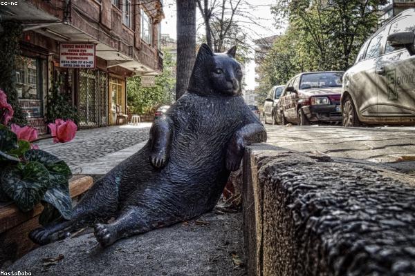 关于在现代社会中的专业图片