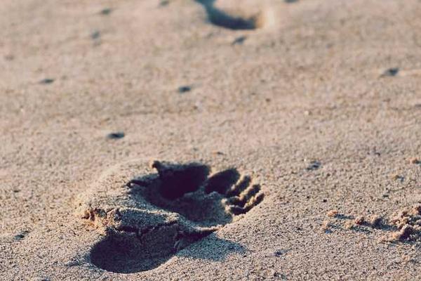 从卫星遥感相关的高质量图像