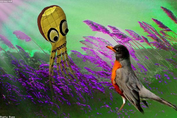 关于creative的专业图片