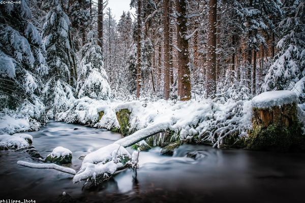 creative相关的高质量图像