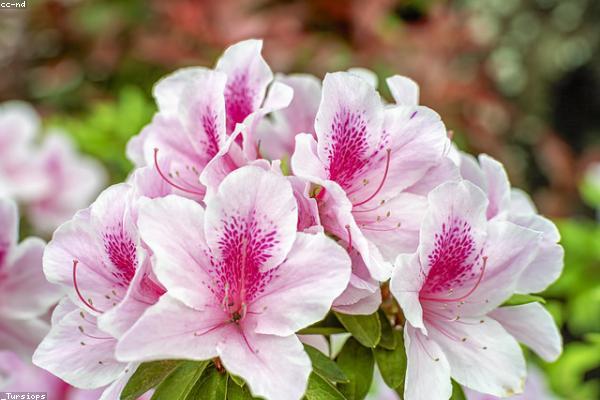 与growth相关的创意图片