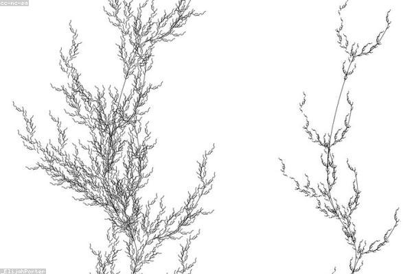 展示growth概念的视觉内容