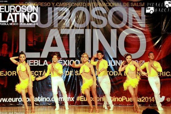 关于professional的专业图片