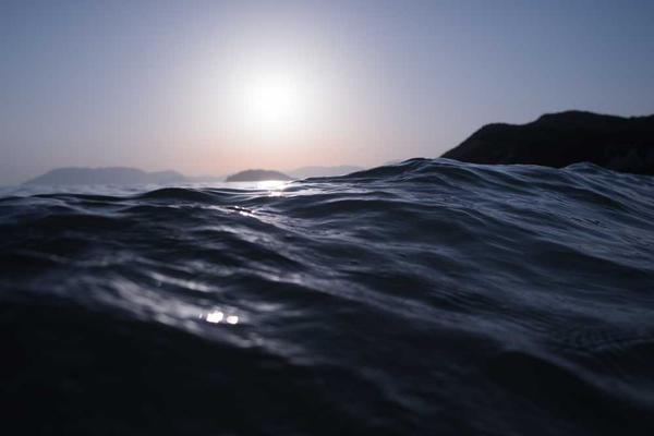 success主题的精美插图