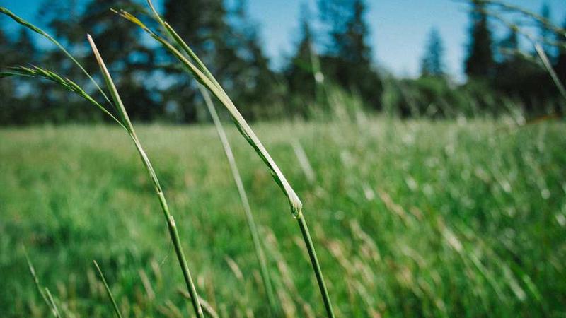 关于business的专业图片