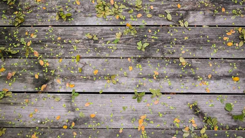 关于digital的专业图片