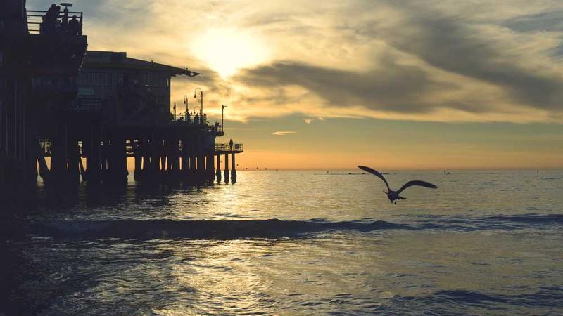 关于digital的专业图片