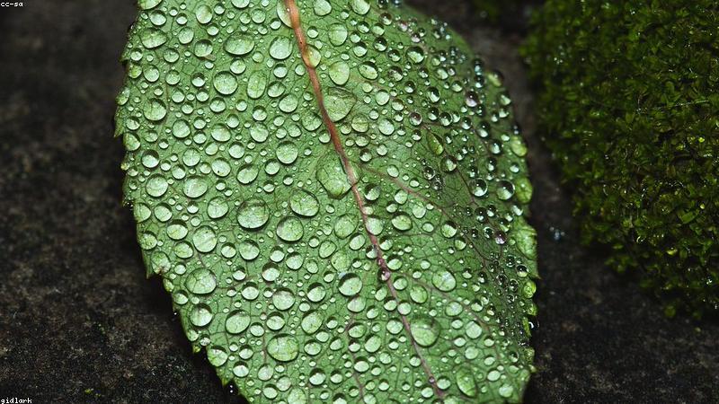 关于growth的专业图片