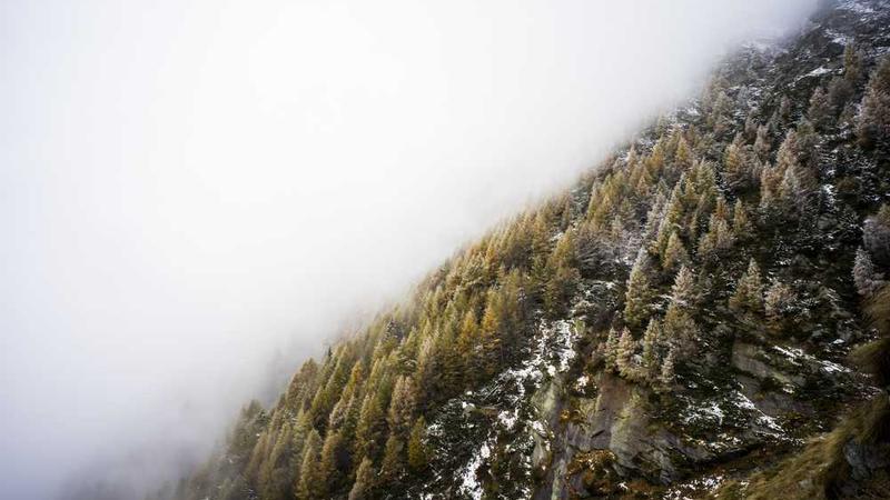 展示professional概念的视觉内容